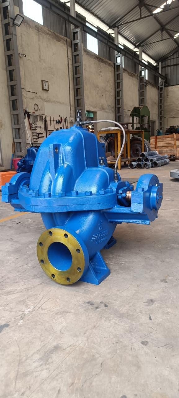 Blue split case pump