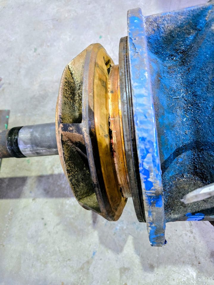 Engineer diagnosing a worn pump bearing